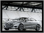Prototyp, Srebrny, Mercedes